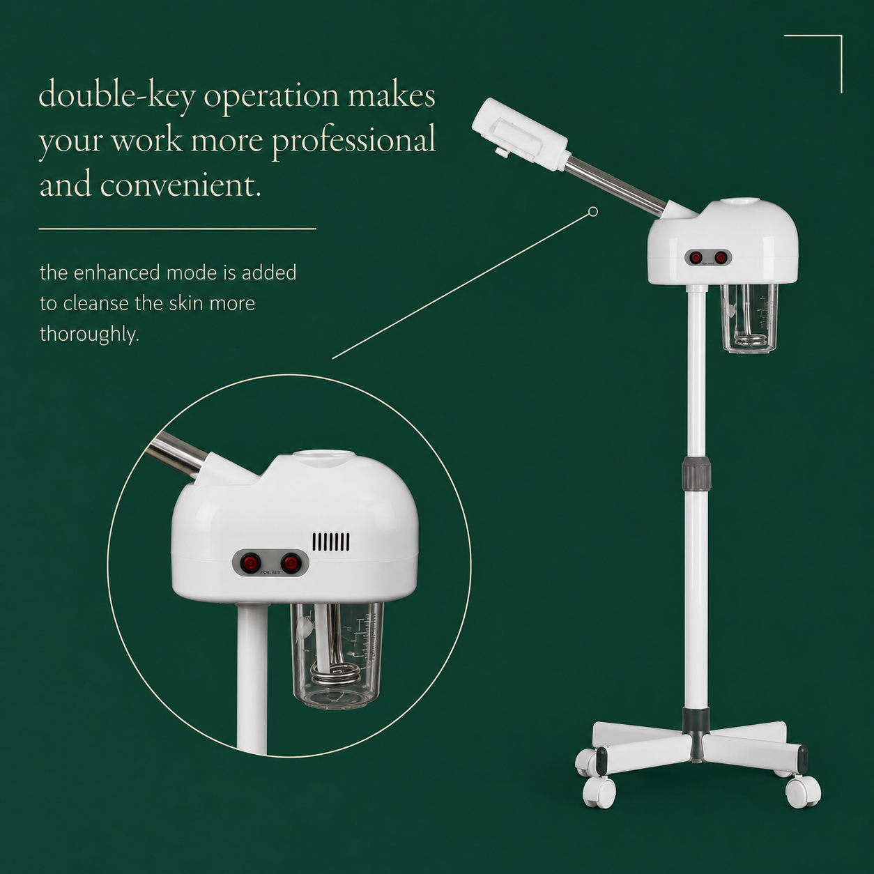 Luxury Facial Steam Wand