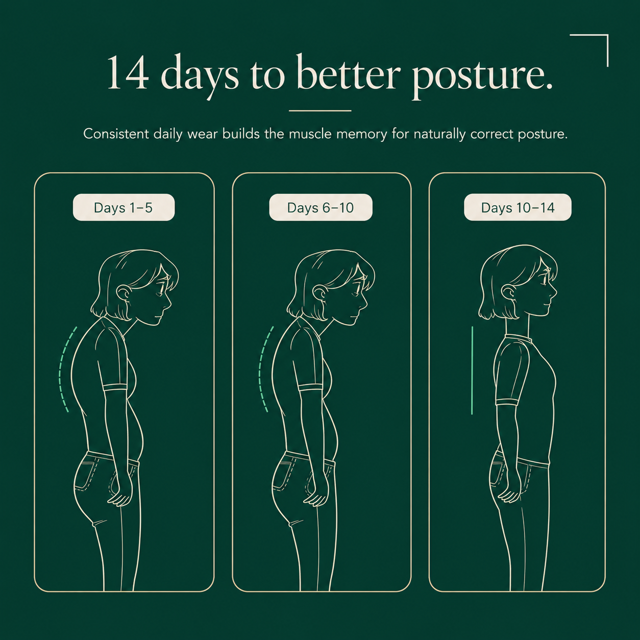 Smart Posture Corrector Brace